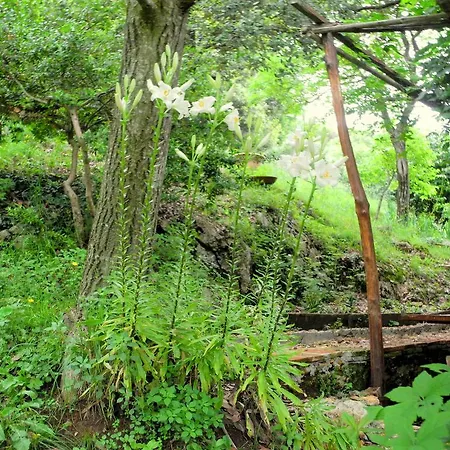 度假居 Rustic In Tuscany With Garden And Parking 卡麦奥雷